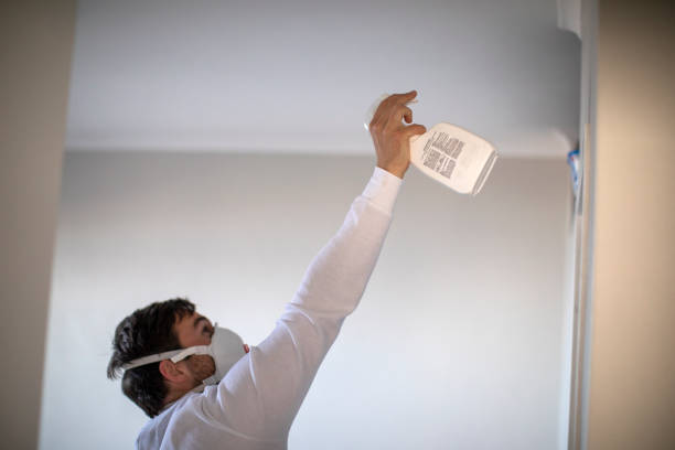 Best Professional Mold Removal  in Coleman, MI