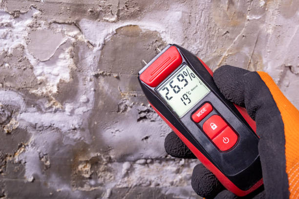 Best Mold Remediation Services  in Coleman, MI