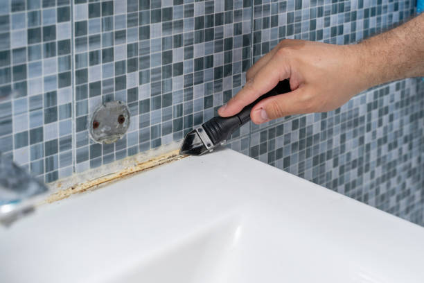Home Mold Removal in Coleman, MI