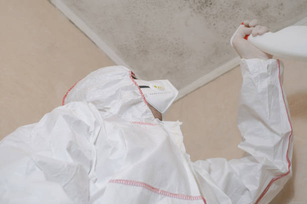 Best Mold Testing and Removal  in Coleman, MI