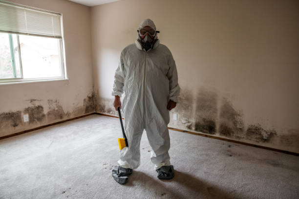 Best Commercial Mold Removal  in Coleman, MI